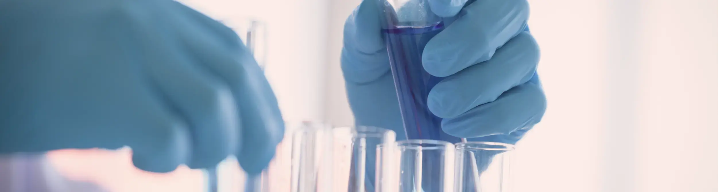 Explore our FAQ section to find quick answers to your questions